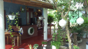 Hikka Bird Hostel